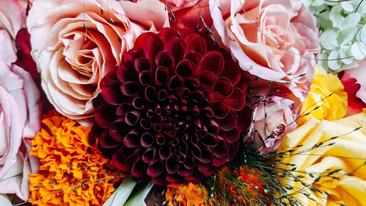 Close-up of a bouquet with red, orange, and pink carnation flowers