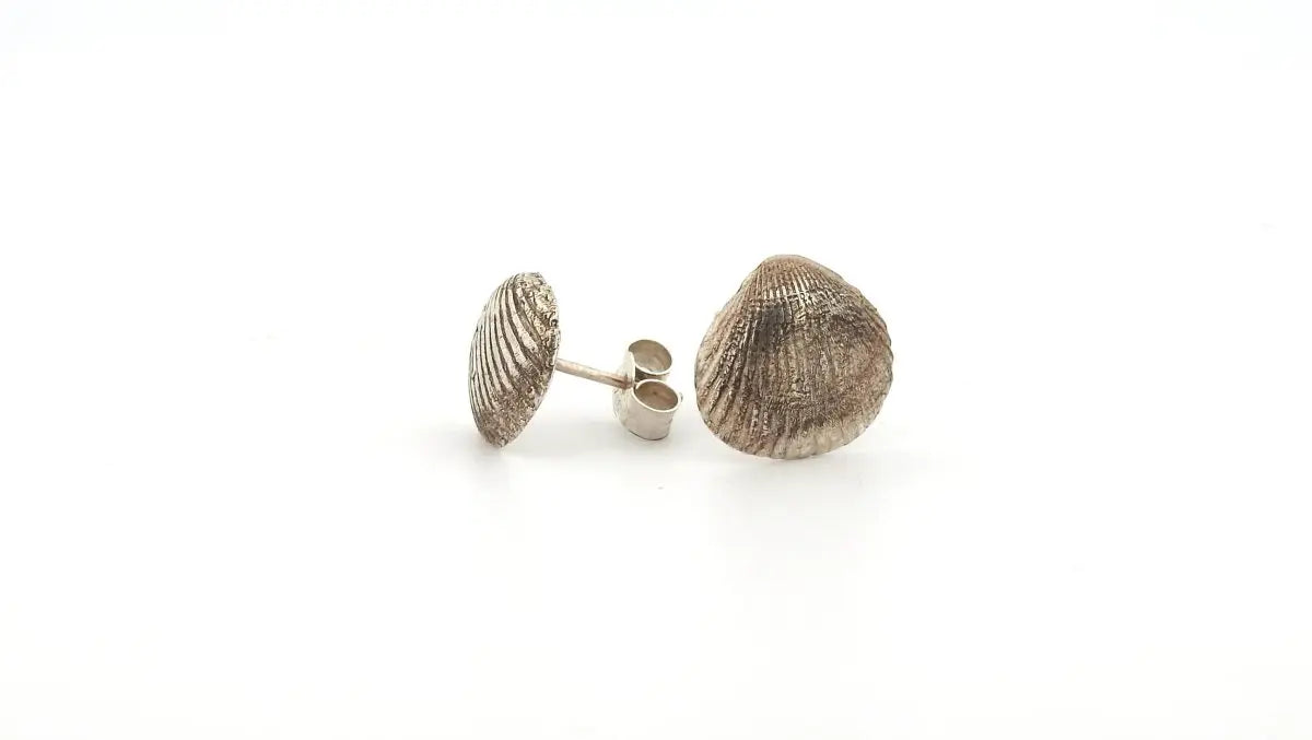 Sterling Silver Seashell Stud Earrings - Real Beach Treasures, Forever Preserved - Lynne Lee Jewellery