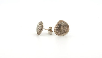 Sterling Silver Seashell Stud Earrings - Real Beach Treasures, Forever Preserved - Lynne Lee Jewellery