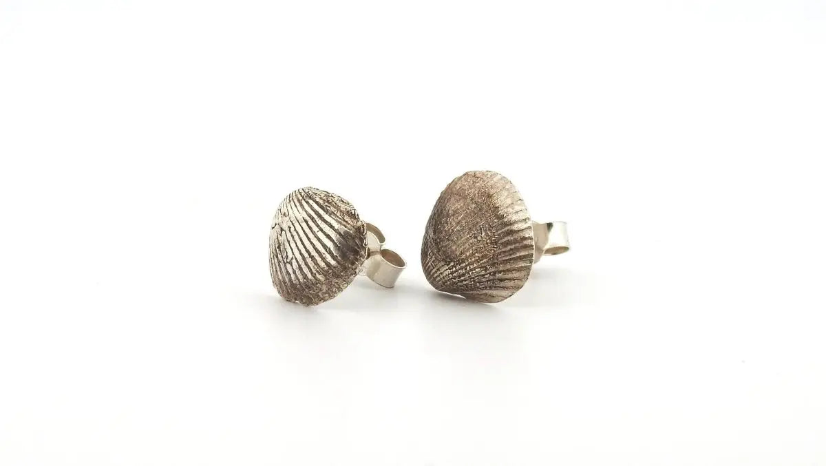 Sterling Silver Seashell Stud Earrings - Real Beach Treasures, Forever Preserved - Lynne Lee Jewellery