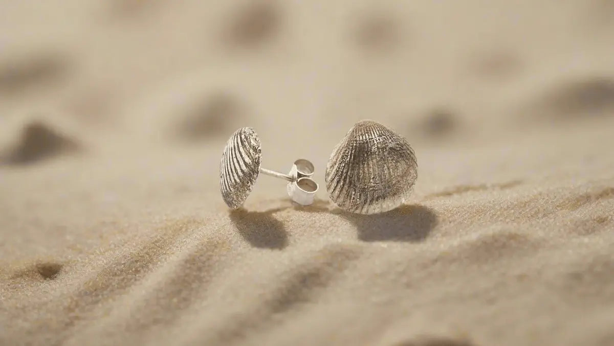 Sterling Silver Seashell Stud Earrings - Real Beach Treasures, Forever Preserved - Lynne Lee Jewellery