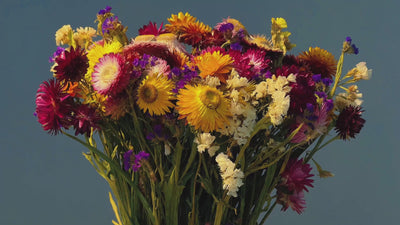 bouquet of various wildflowers of yellows, reds and purple colours, the light shifts highlighting various parts.