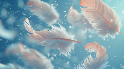 video of white cgi feathers floating and rotating in the wind.