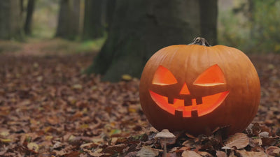 jack-o-lantern glowing inside, sat on a forest floor with fallen brown leaves.