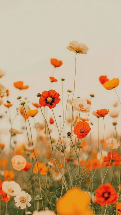 poppies swaying in the wind.