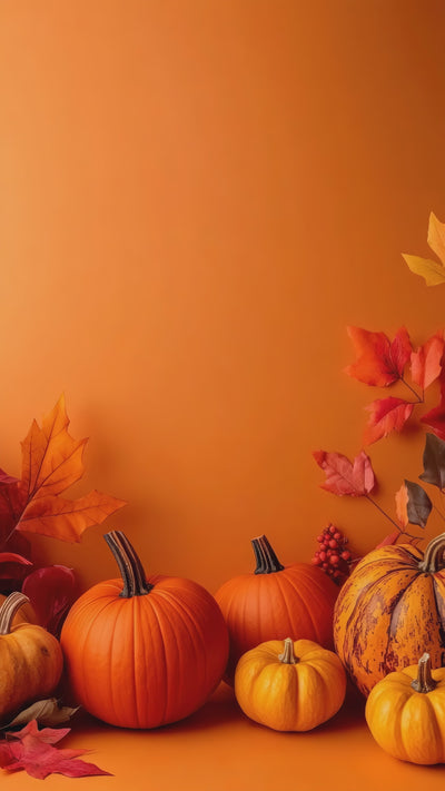 video moving left to right, bright oranges pumpkins infront of a bright orange wall.