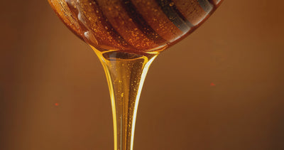 close up shot of a honey dipper with honey dripping off.